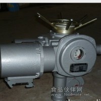 DZW180-24-A00-WK電動閥門