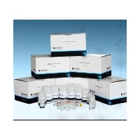 FZ1034 植物基因組DNA提取試劑盒Plant DNA Isolation Kit(50)
