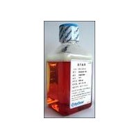 供應馬血清(Donor Equine Serum) Hyclone 100ml SH30074.02