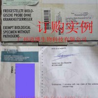 供應ATCC菌種/菌株 BCCM/DSMZ菌株費用全包