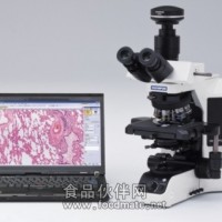 BX53奧林巴斯顯微鏡、熒光顯微鏡價格