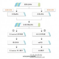 轉錄組測序