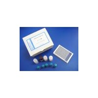 血管內(nèi)皮細(xì)胞生長(zhǎng)因子受體1elisa,大鼠(VEGFR-1）Elisa試劑盒
