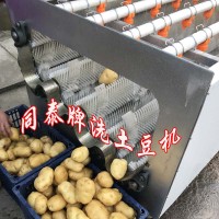 全自動水洗土豆機 馬鈴薯清洗設(shè)備