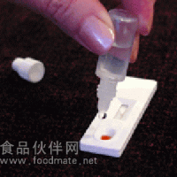 磺胺類快速檢測卡