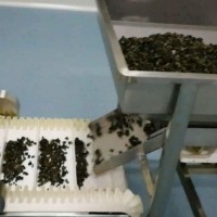東北黑木耳微波烘干殺菌生產線