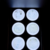 Efficiency系列菌落及藥敏分析儀