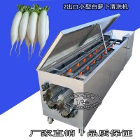 小型蘿卜泥巴清洗機 自動洗白蘿卜青蘿卜機器