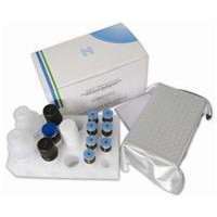 豬血管生成素1(ANG-1)ELISA試劑盒