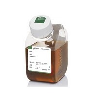 Gibco 10099-141 胎牛血清