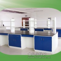 全鋼實(shí)驗(yàn)室家具