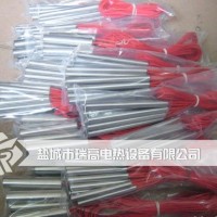 仿進口單頭電熱管