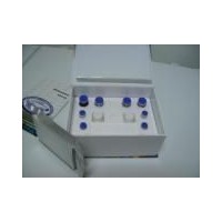 大鼠血管生成素4(ANG-4)ELISA試劑盒