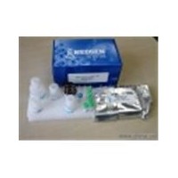 小鼠戊糖素(Pentosidine)ELISA試劑盒
