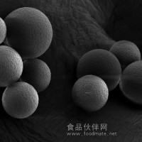 供應聚苯乙烯凝膠
