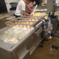 氣泡清洗機 果蔬清洗流水線 供應清洗設備