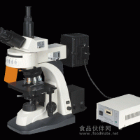 中恒 熒光顯微鏡XYL-580AT