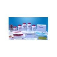 CAS:36546-50-6,N-乙酰-L-酪氨酸乙酯,98%