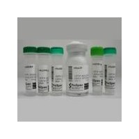 7778-18-9,無水硫酸鈣,硬石膏,熟石膏粉,Calcium sulfate價格