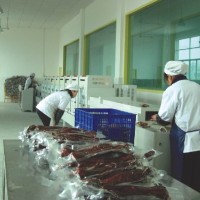 微波設備調味品殺菌機