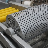 漿果清洗機(jī)