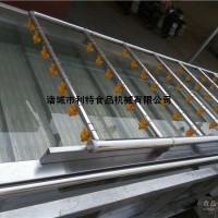 葡萄干清洗去石機 葡萄干除石去石機 葡萄干加工去石生產(chǎn)線