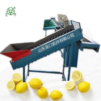 廠家直銷全自動重量式檸檬分選機，水果分級機