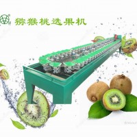 【獼猴桃選果機】【獼猴桃分選大小】凱祥