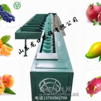 奇異果稱重分選選果機 紅心獼猴桃選果機 獼猴桃分大小機器