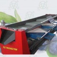 【藍莓選果機】分選藍莓機器 凱祥制造