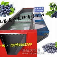 2014藍莓選果機 新款藍莓分選機 直徑式藍莓篩選機