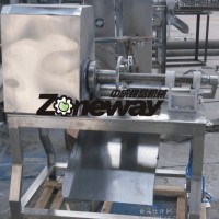 TQPJ-1型菠蘿去皮機