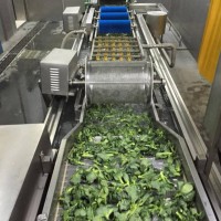 油菜心清洗速凍加工線