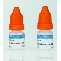 脫氧核糖核酸（小牛胸腺）-價格