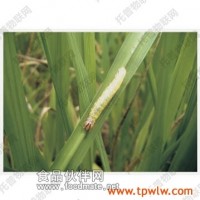托普農(nóng)業(yè)物聯(lián)網(wǎng)之托普植保信息化系統(tǒng)