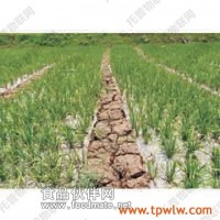 托普農(nóng)業(yè)物聯(lián)網(wǎng)之托普土壤墑情監(jiān)控系統(tǒng)