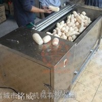 大姜脫皮機廠家供應大姜脫皮機價格
