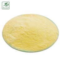 供應食品級膨化玉米粉 玉米粉 窩窩頭粉 代餐粉