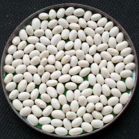 供應 小白云豆