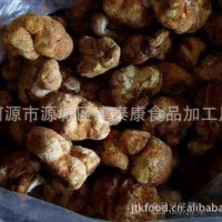 猴頭菇 蘑菇 真菌 山珍