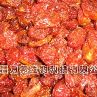 供應圣女果