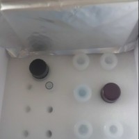 大鼠內皮型一氧化氮合成酶3(eNOS-3)ELISA試劑盒