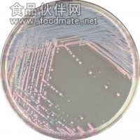 金黃色葡萄球菌檢驗用培養基（GB4789.10-2010）