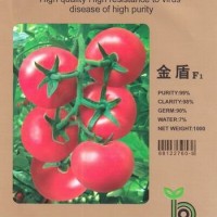 供應荷蘭進口番茄種子,抗ty 番茄種子