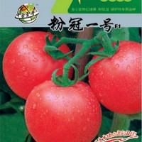 進口西紅柿種子，進口番茄種子