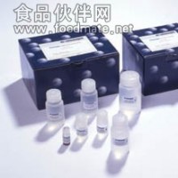 小鼠壞死因子α(TNF-α)ELISA試劑盒