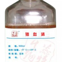 豬血清