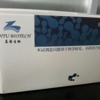 人性激素結合蛋白（SHBG）定量檢測試劑盒（ELISA）