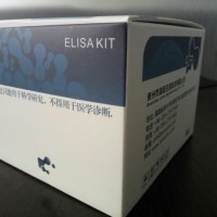 110026人髓過氧化物酶（MPO）定量檢測試劑盒ELISA