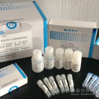 食品中沙門(mén)氏菌檢測(cè)試劑盒
